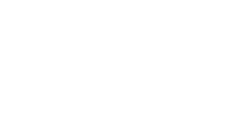 Logo APS